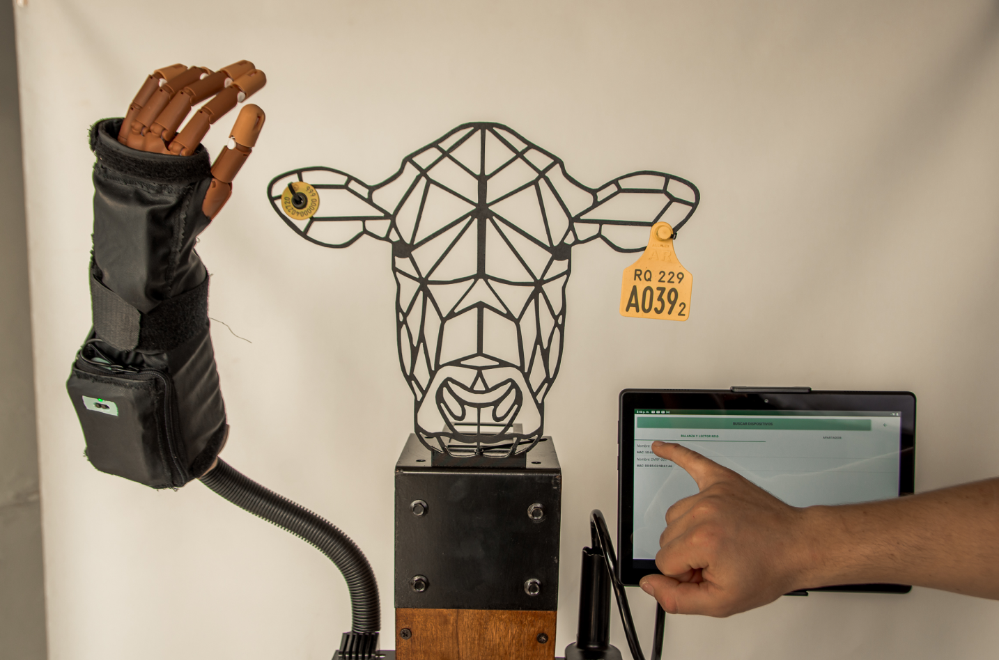 Descripción de la imagen